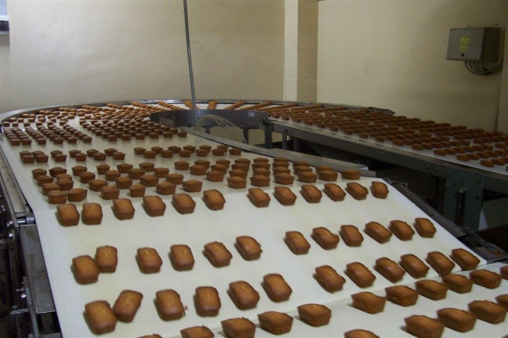 Cake Production Line
